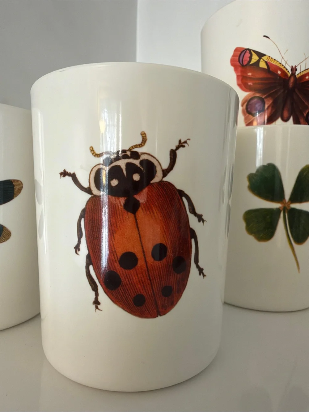 John Derian for Target Nature Motif Tumblers